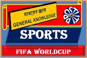 Record, Stat and Information of Qatar World Cup