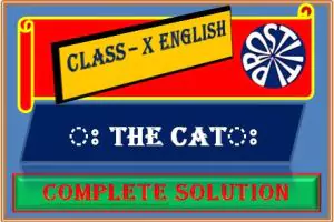 Class X English Solution : The Cat Question and Answer