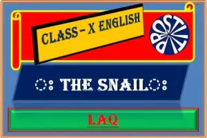 THE SNAIL LAQ দীর্ঘ উত্তরভিত্তিক প্রশ্ন