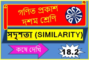 Koshe Dekhi 18.2 Class X Similarity সদৃশতা