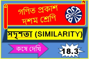 Koshe Dekhi 18-3 Class 10 সদৃশতা