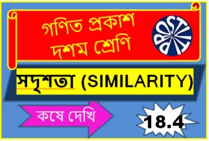 Koshe Dekhi 18-4 Class 10 সদৃশতা