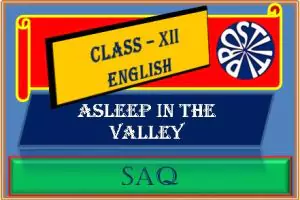 ASLEEP IN THE VALLEY SAQ for HS Final Exam